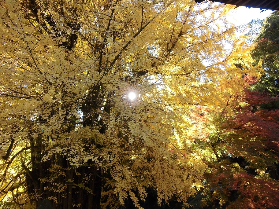 東松山市　正法寺