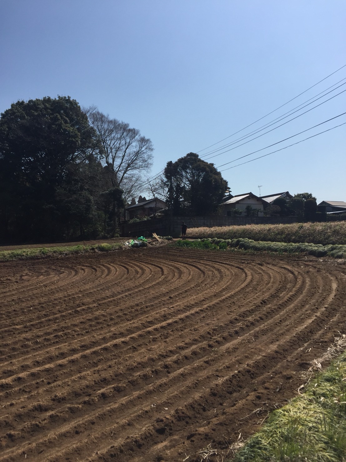 お盆を経て......