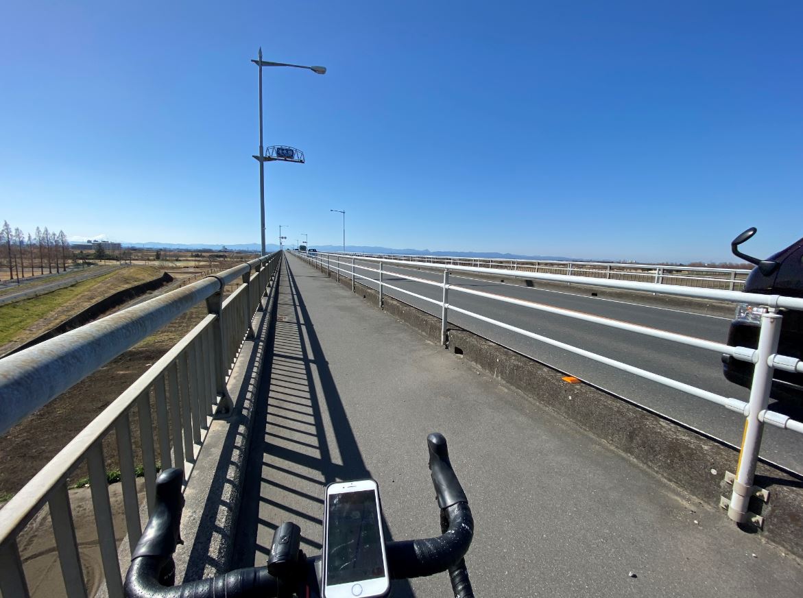 たまには運動を