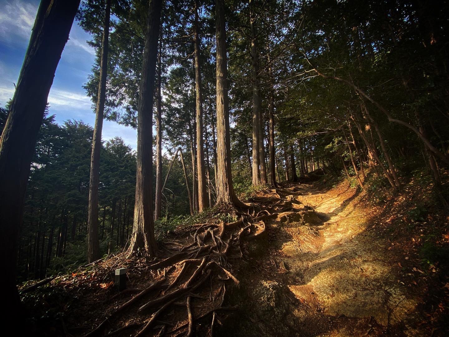 新シーズン到来