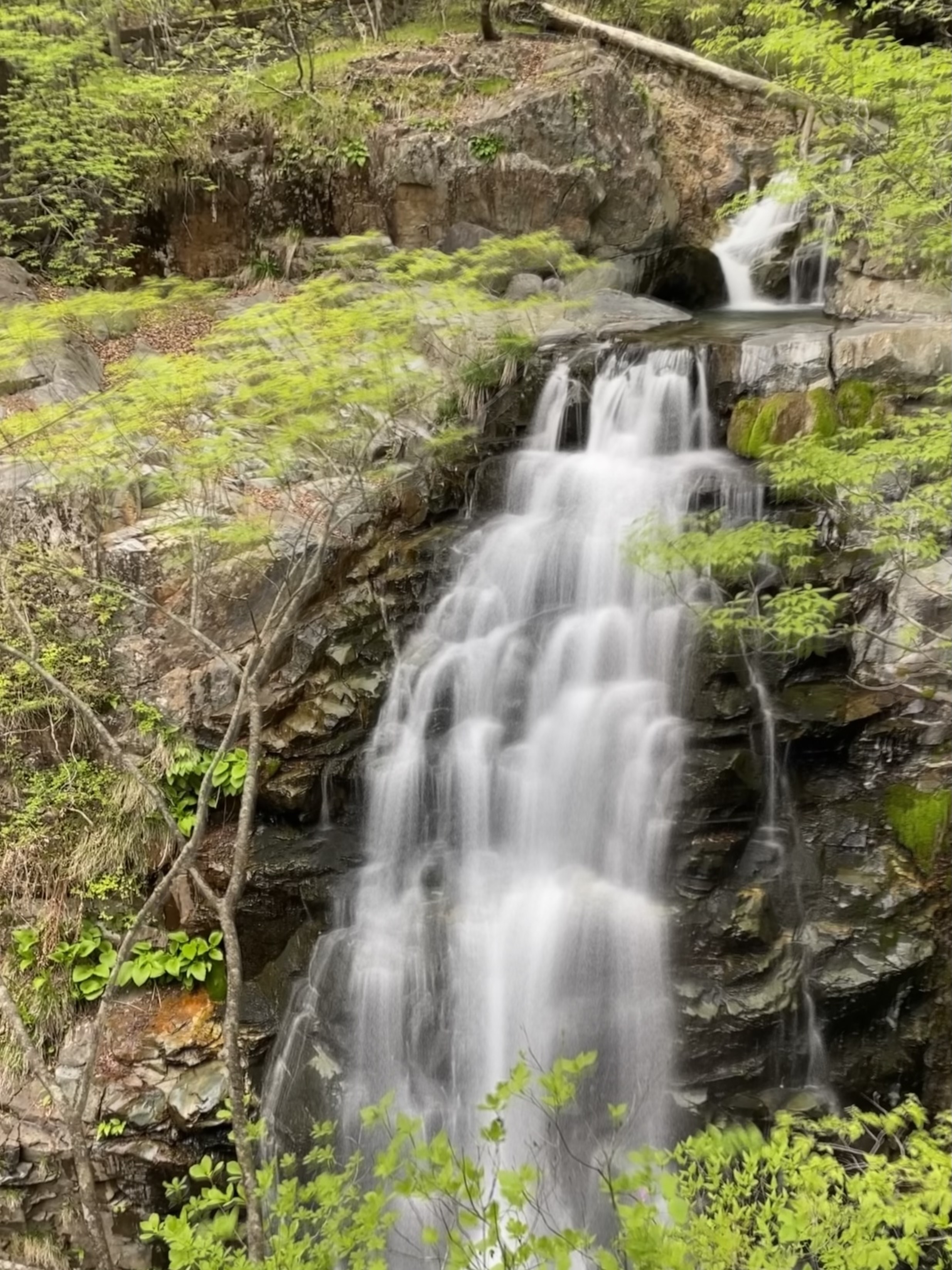 体感温度の簡易計算式