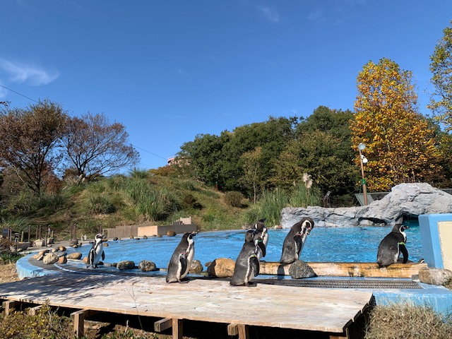 動物園