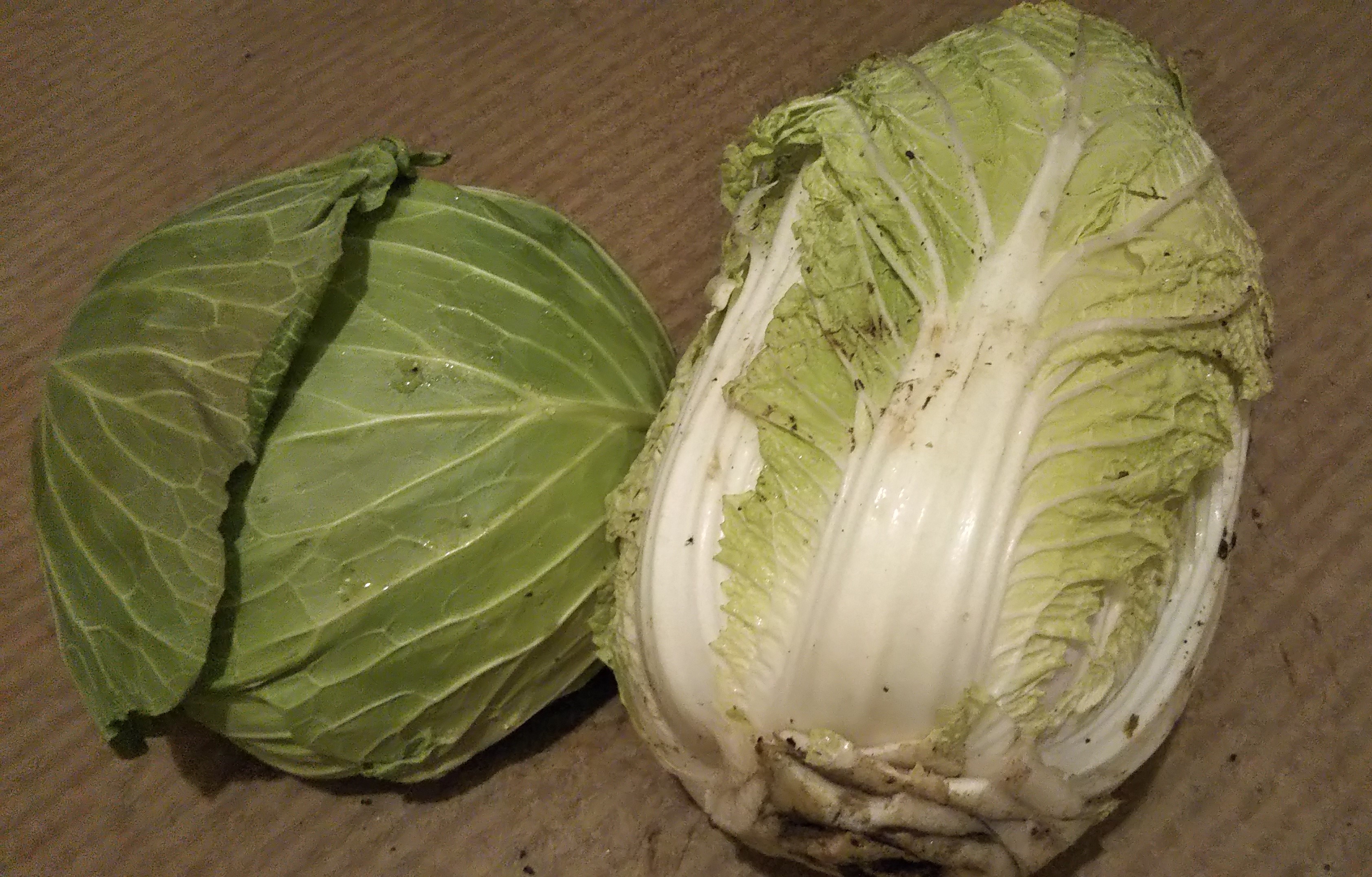 採れたてお野菜は甘い！