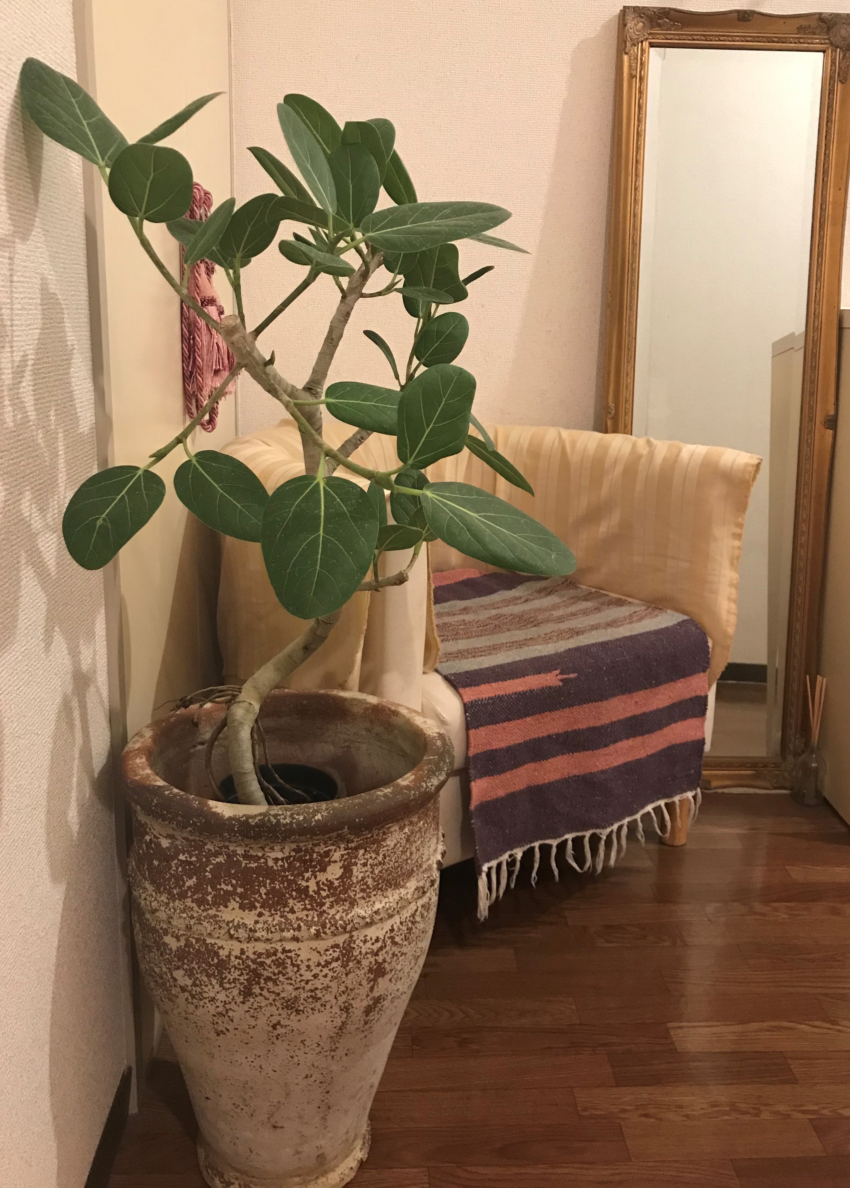 気分転換に模様替え