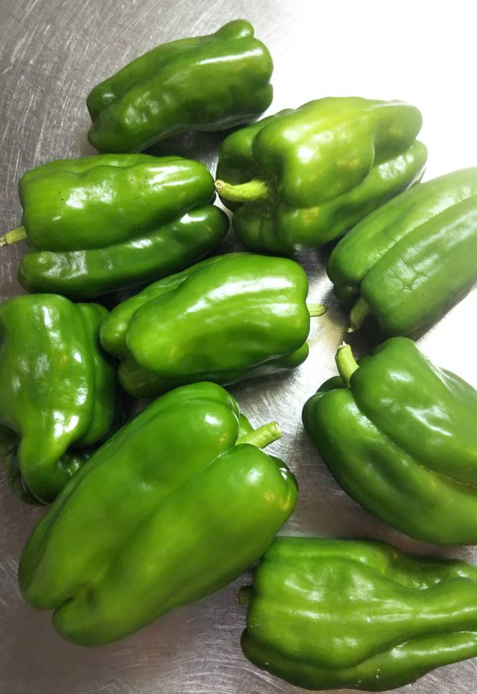 久しぶりの活動！