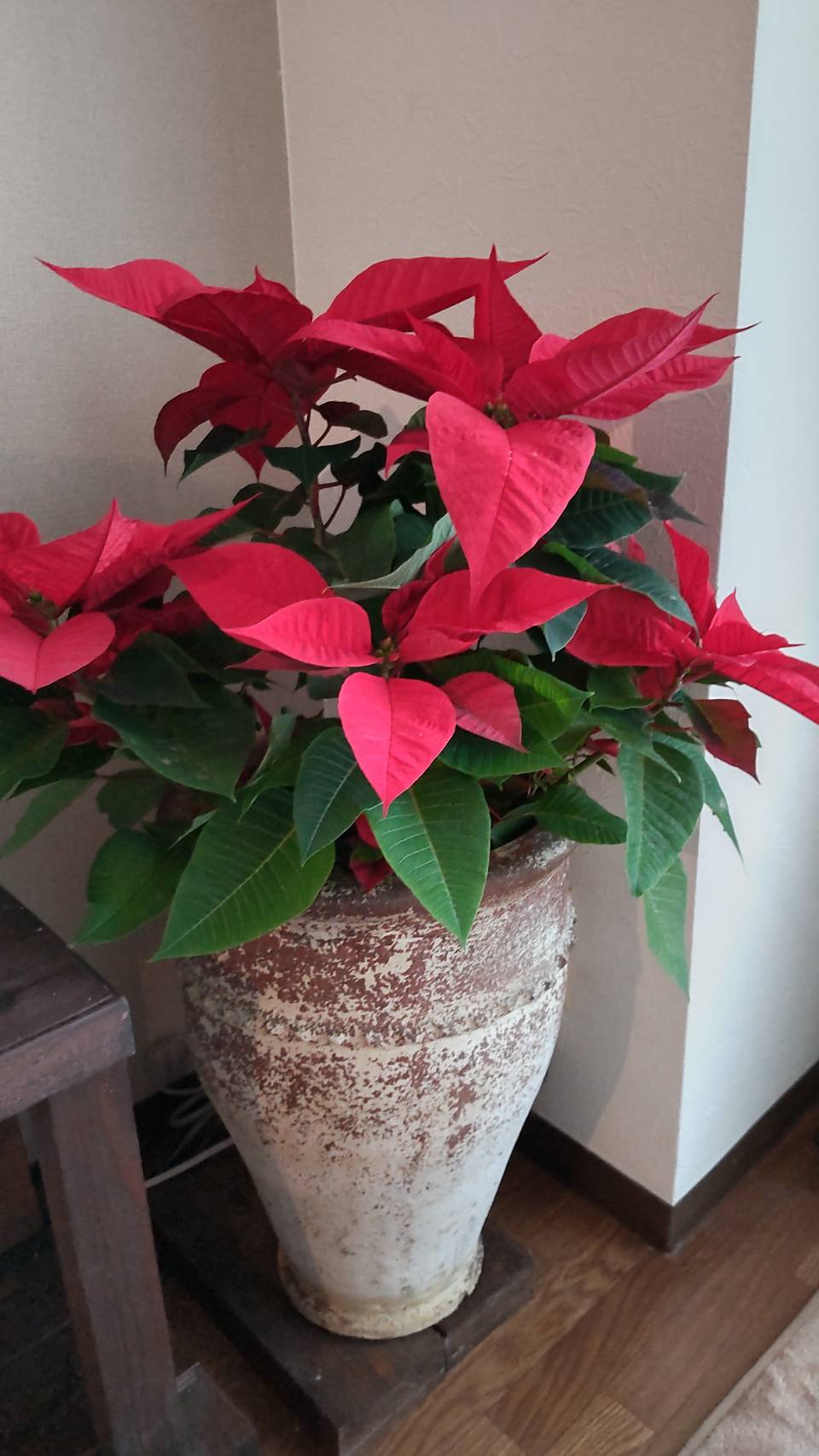 我が家のXmasオーナメント