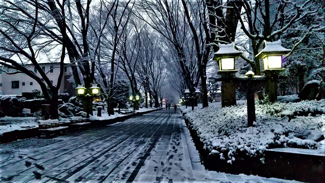 2022年　明けましておめでとうございます