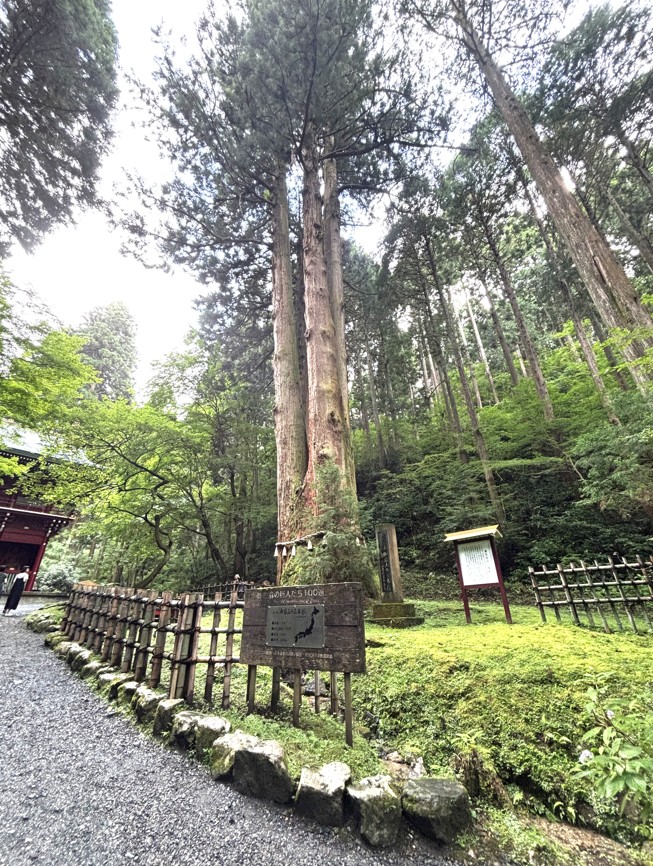 スクリーンショット 2025-08-25 095701