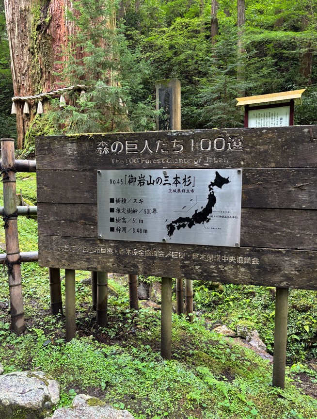 スクリーンショット 2025-08-25 095723