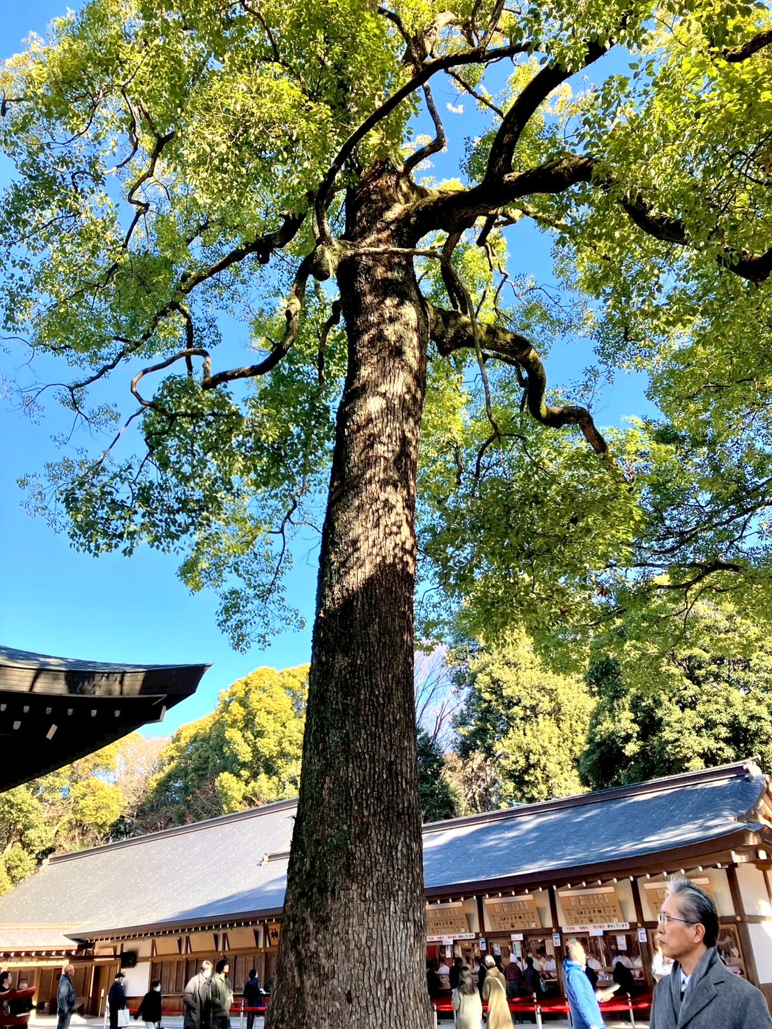 2026年もよろしくお願いいたします