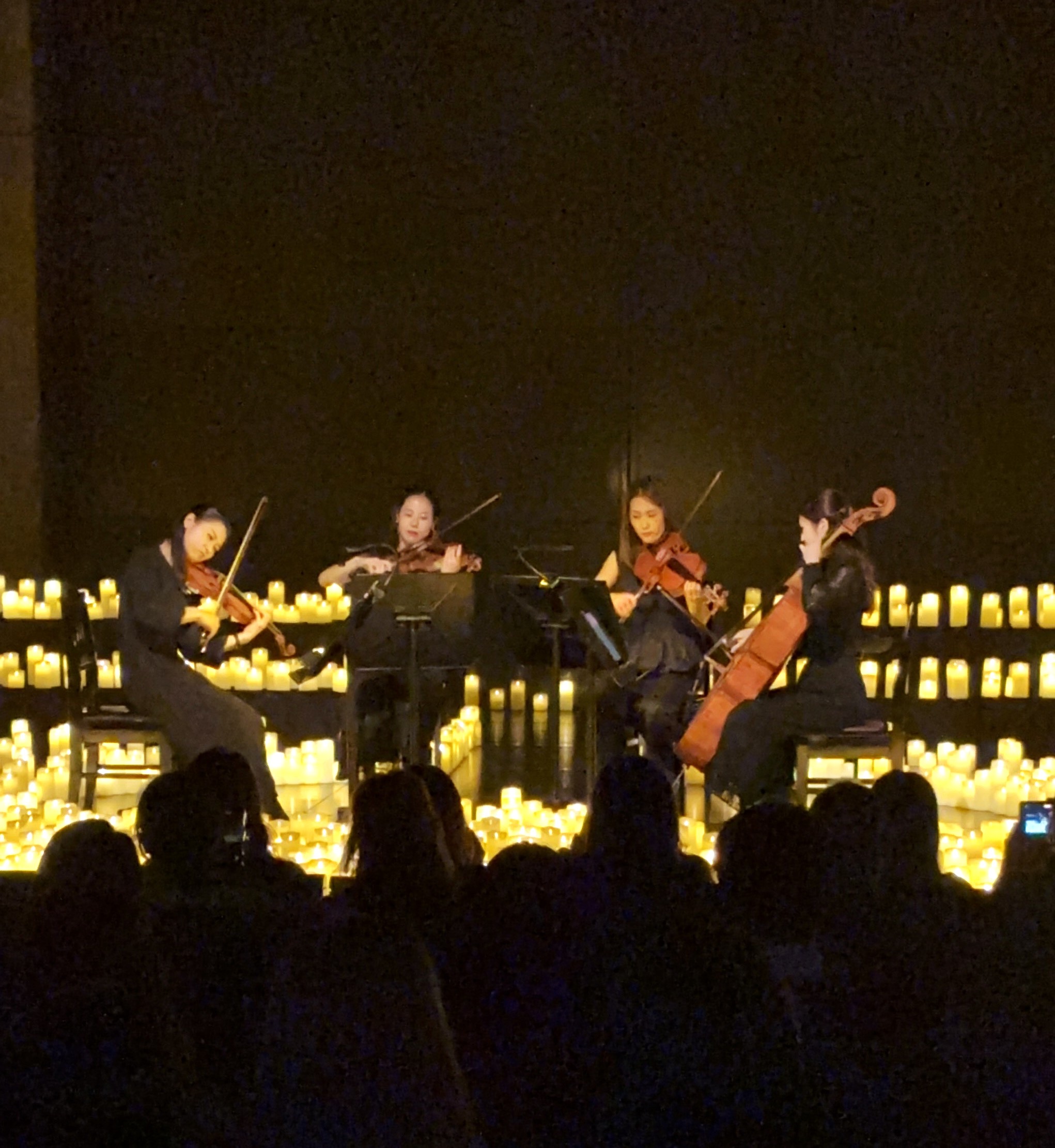 7E6610C4-EA8B-42A3-B1F3-299F142EA605