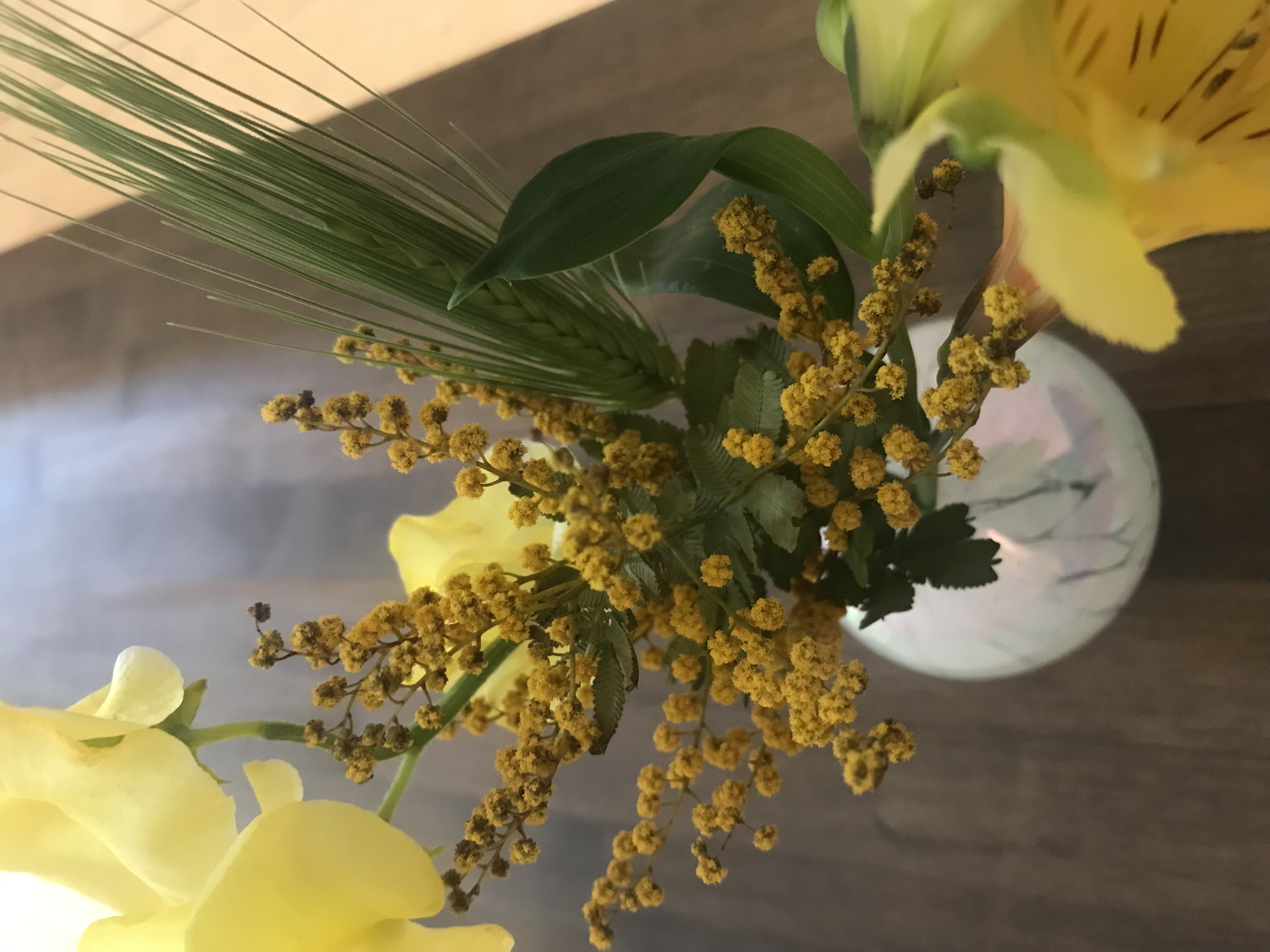 暖かくなりましたね