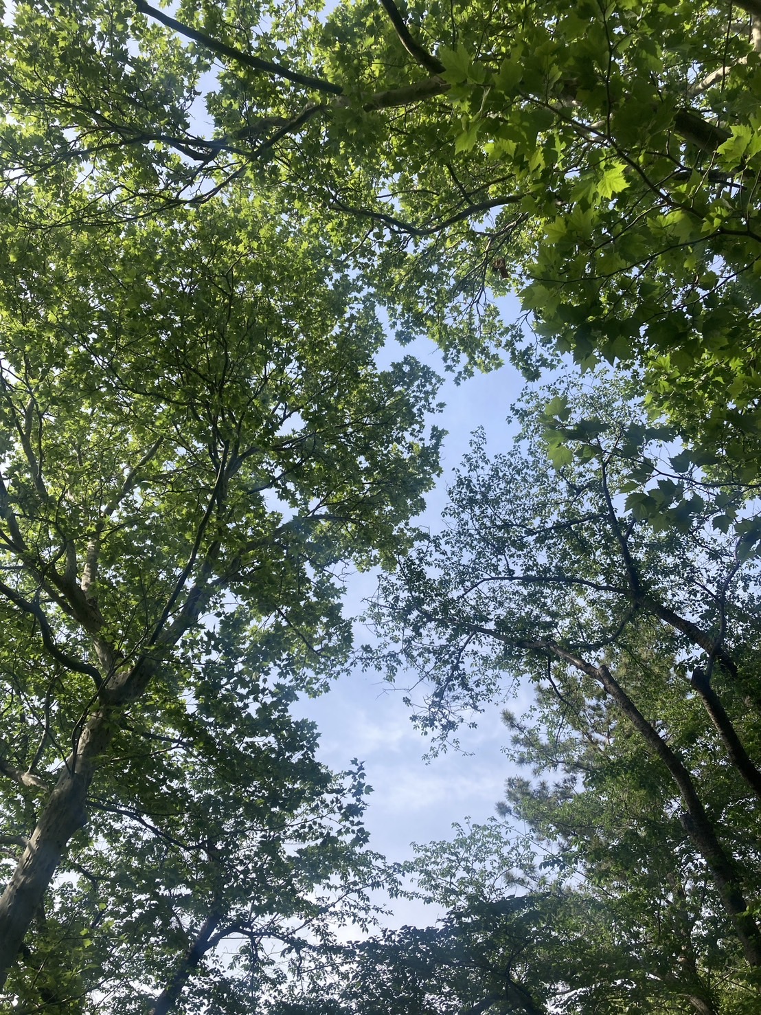 GW前の