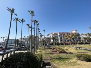 9266D792-69CF-4377-8F38-D24C06589FF7