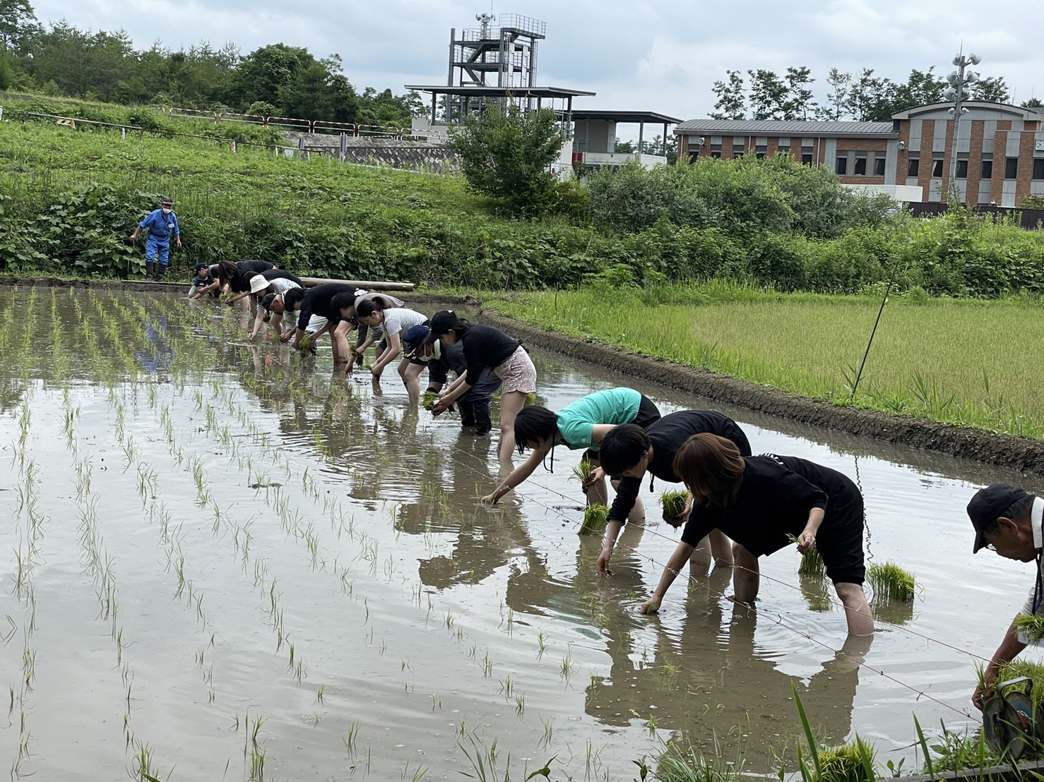 田植え研修に行ってきました！