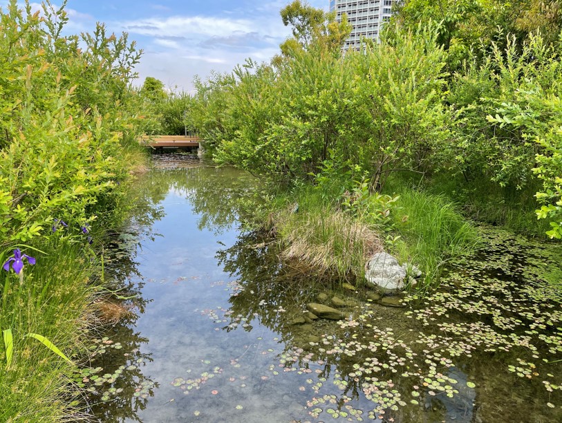 【休日】ランドスケープ