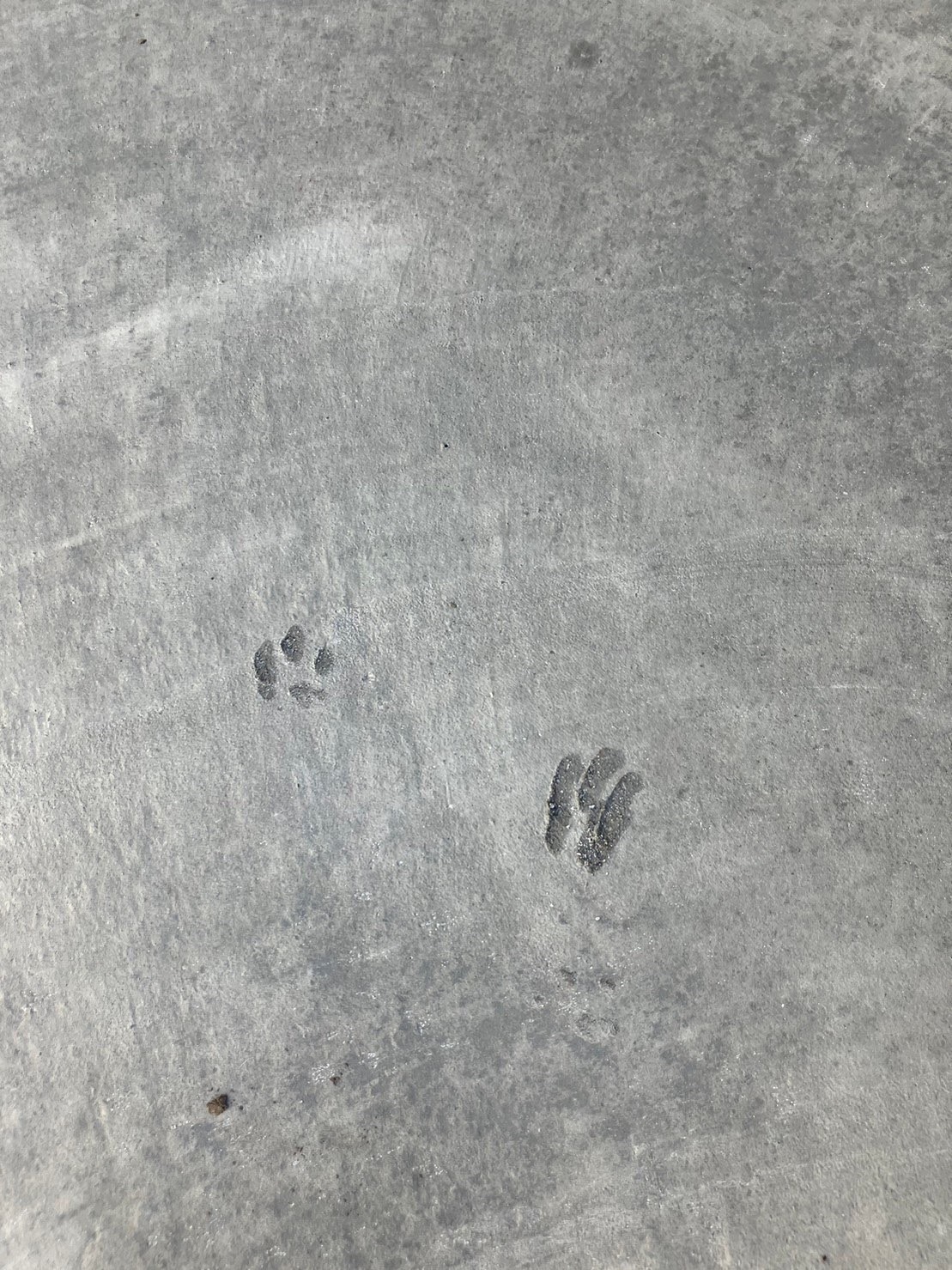 【施工実例？】実はよくある事？