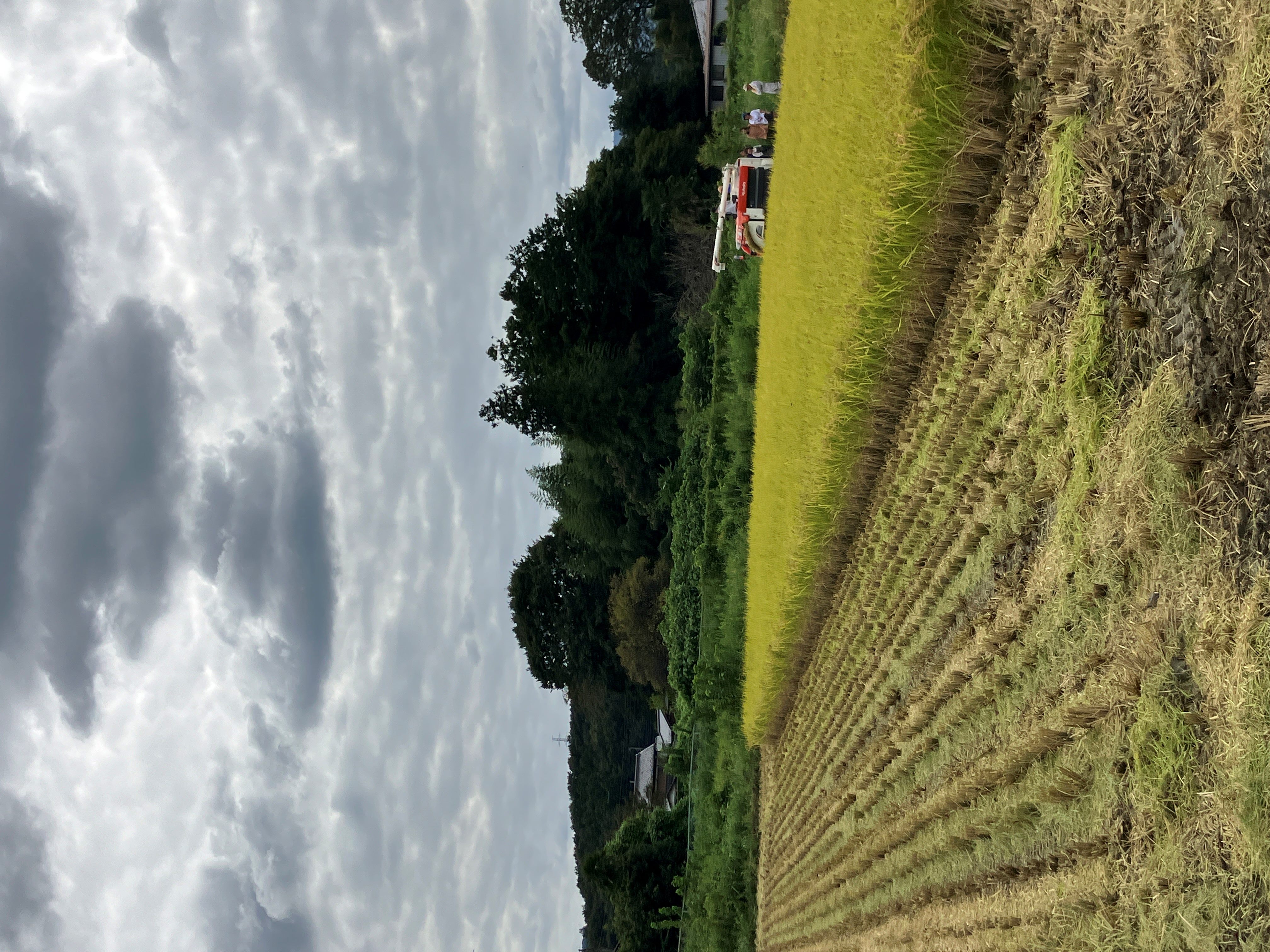 埼玉県の小川町にて稲刈り