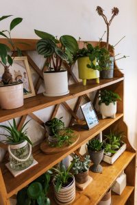 106_所沢店_千葉邸16