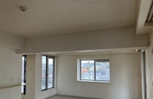 CF9B83AE-E656-4268-BD56-11AF471BB95E