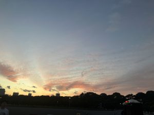 20D3E52B-505A-4140-BFFA-920A2050C2A6