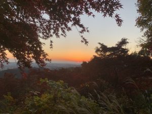 2B3400AC-4099-4335-88FE-7D9EA8A65311 (2)