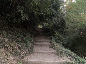 6B7D8AC9-0AE0-4AA8-AA2F-74C43CB0987D (1)