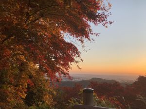 6E7654A6-77B9-4FDB-9C74-9E78EA46A89B (1)