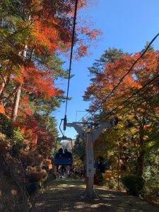 77FE2B28-138D-4856-84C2-A6D4790D3DB0 (1)