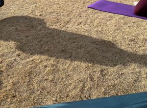 344C8B65-A6B4-43E1-90BA-2D4FC67E9BF8