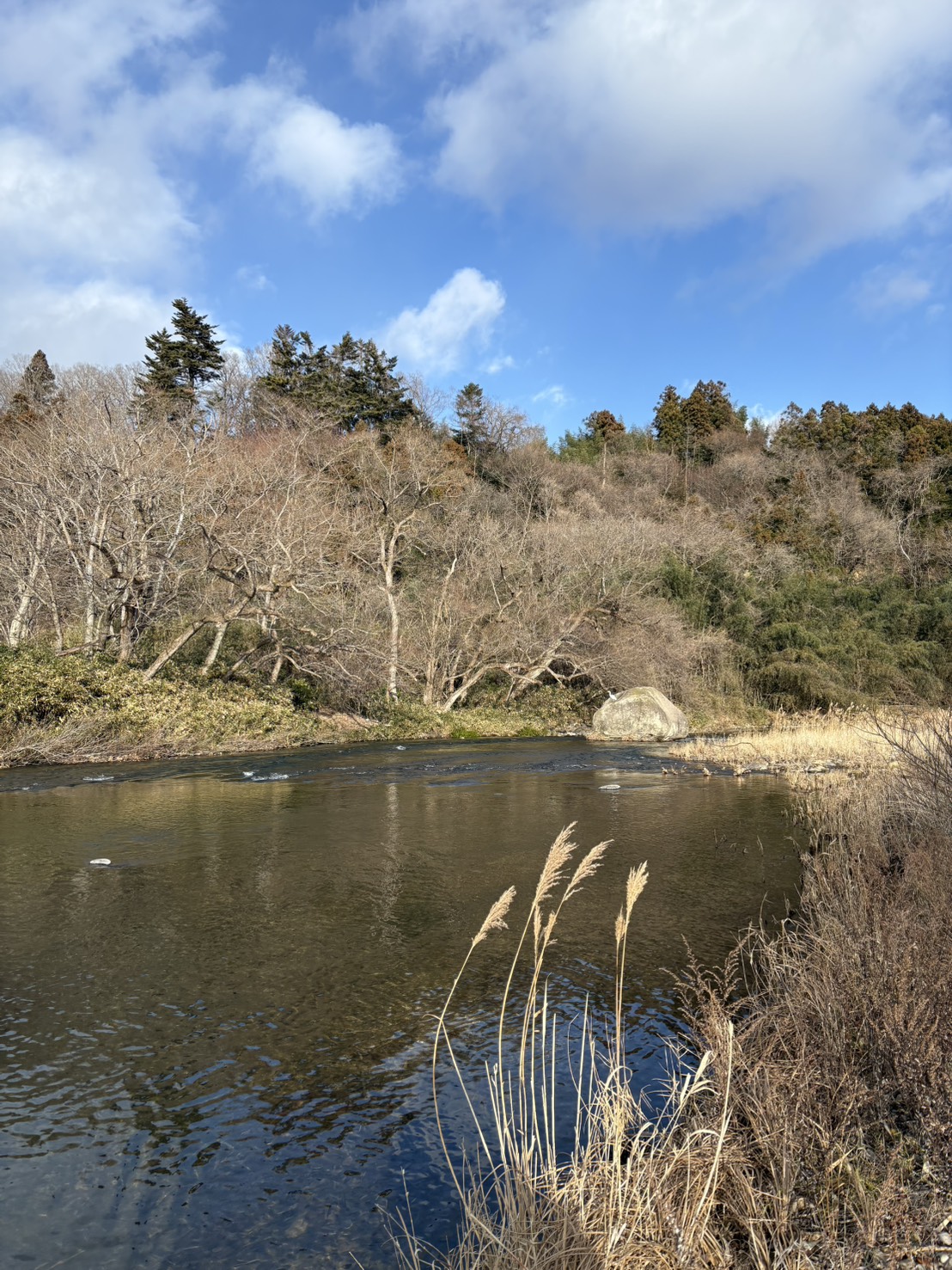 地元仙台に帰省してきました！