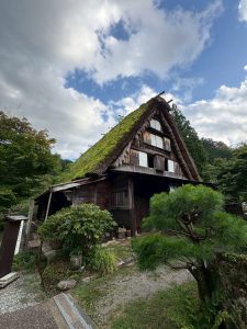 LINE_ALBUM_ブログ_260225_13