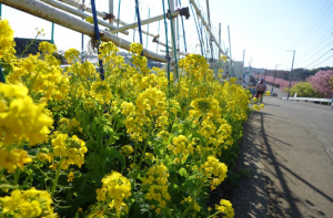 スクリーンショット 2026-02-24 103037