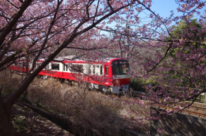 スクリーンショット 2026-02-24 103106