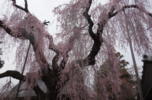 スクリーンショット 2026-03-28 152424