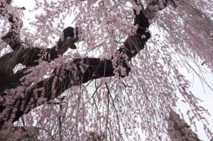 スクリーンショット 2026-03-28 152413