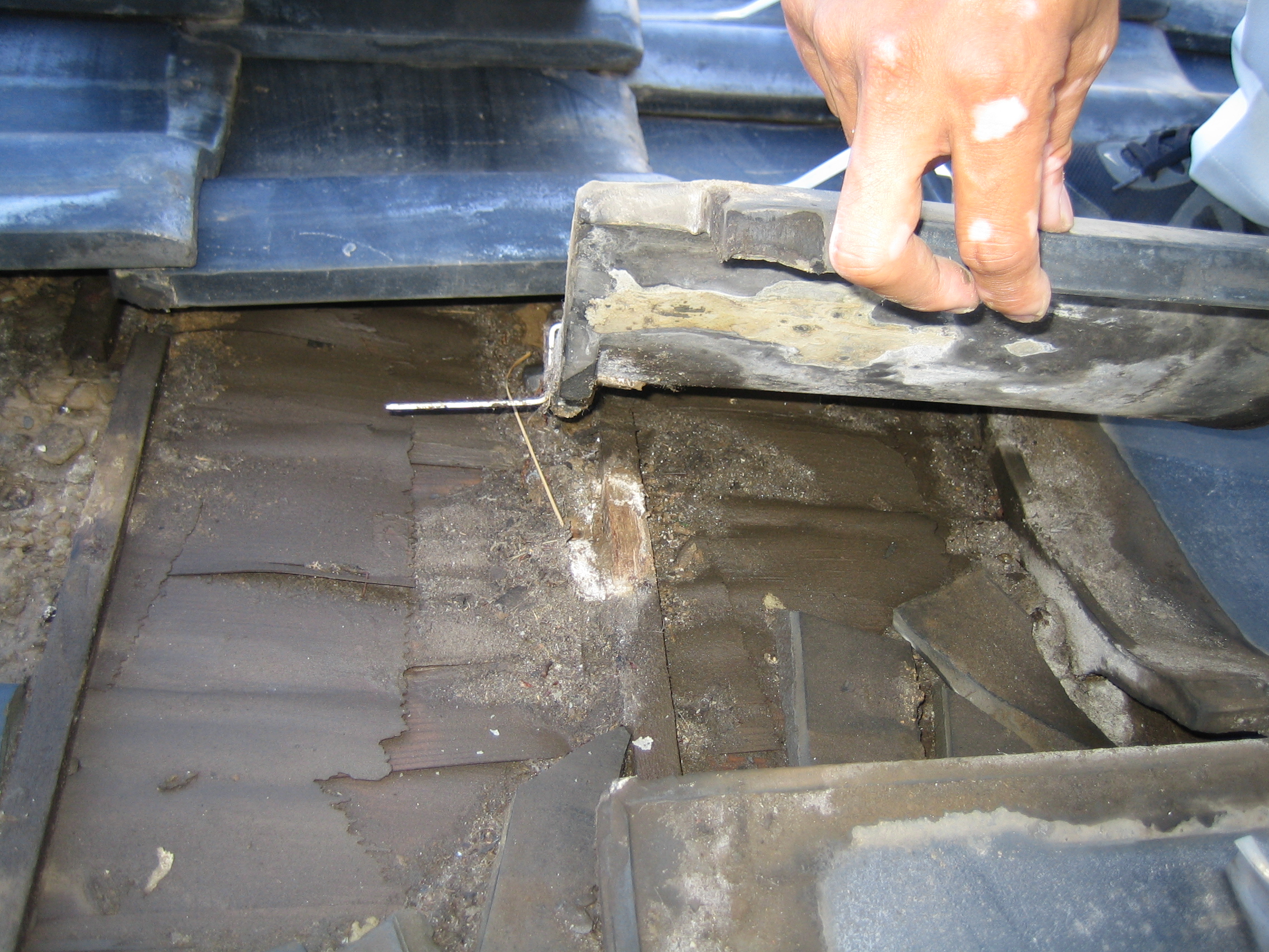 ルーフィング(防水シート）