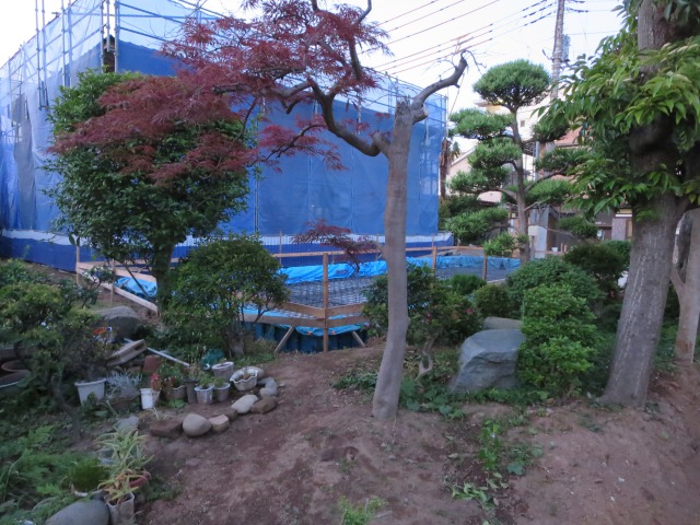 樹々に見守られて～Passiv住宅へのみちのり