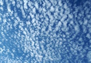 201709210085_box_img0_A