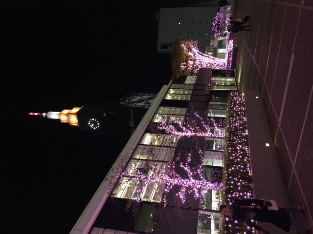 秋～初冬　景色を「空」に見る