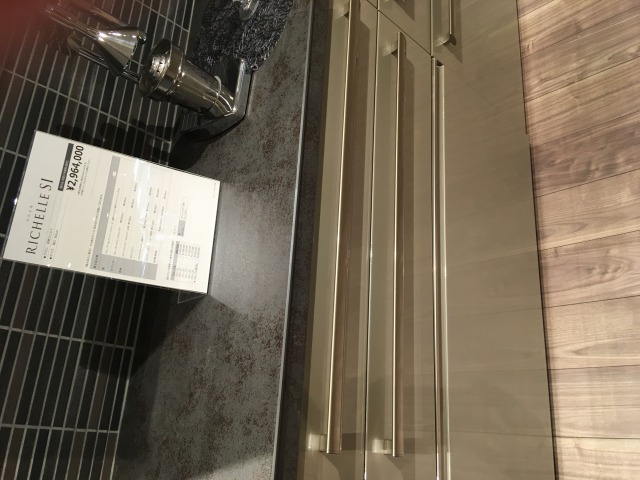 リビングで暮らす！　完成後の撮影パシャリ♪