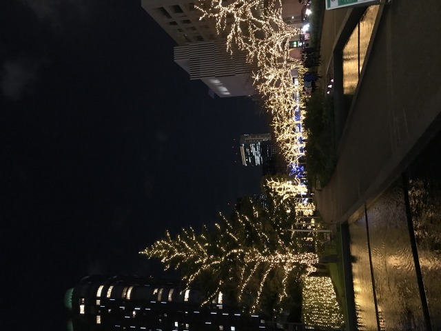 酉の市　大宮氷川神社