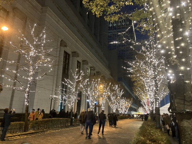 　「街路をゆく」　☆紅葉から～イルミネーション☆