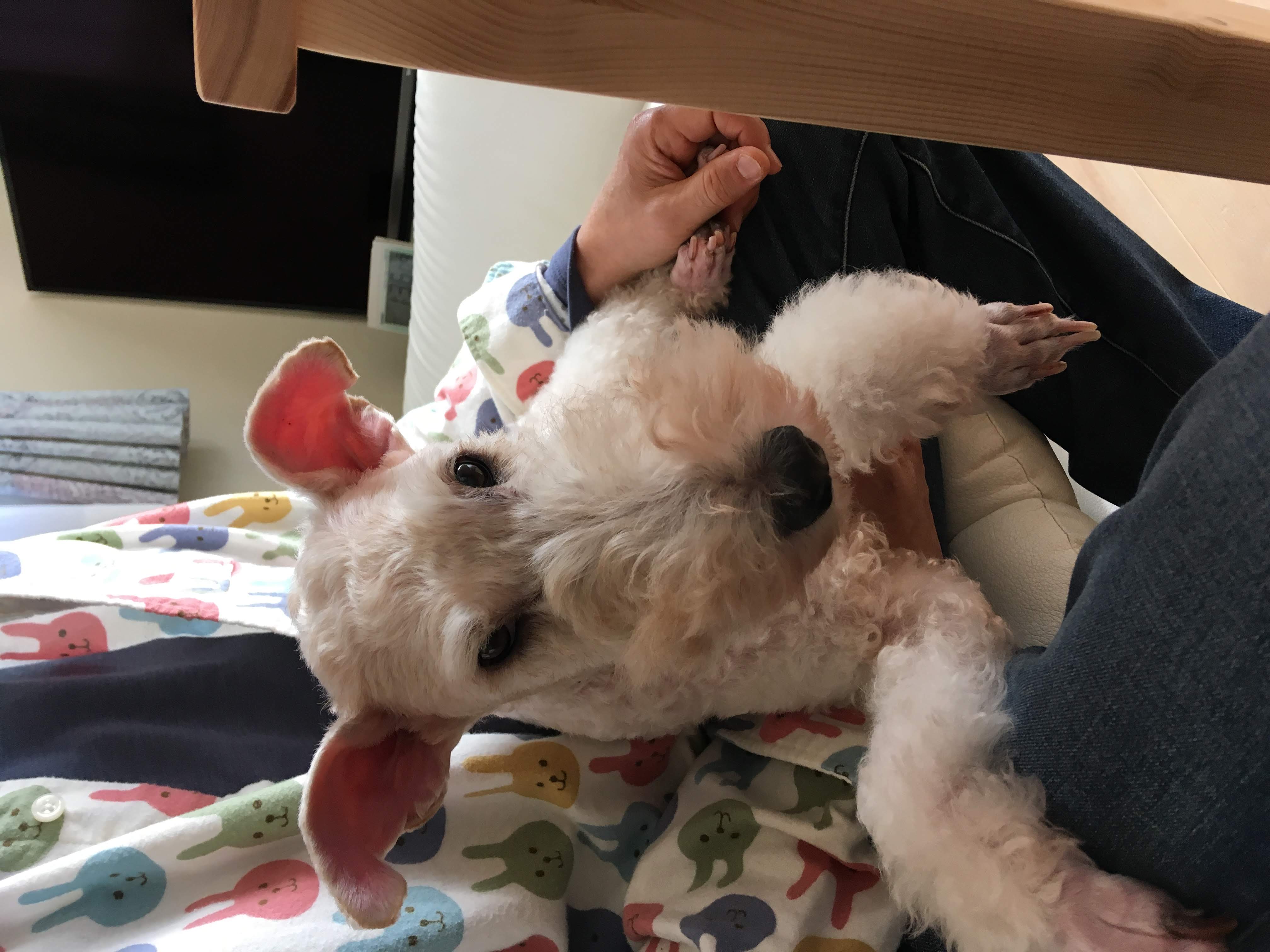 カメラマン撮影