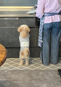 フル ページ写真-022