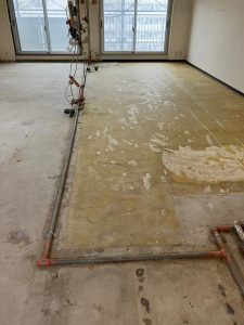 s891628_20240206170056255