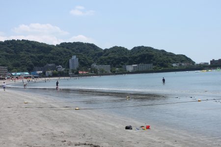 IMG_0493 - コピー