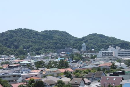 IMG_0486 - コピー