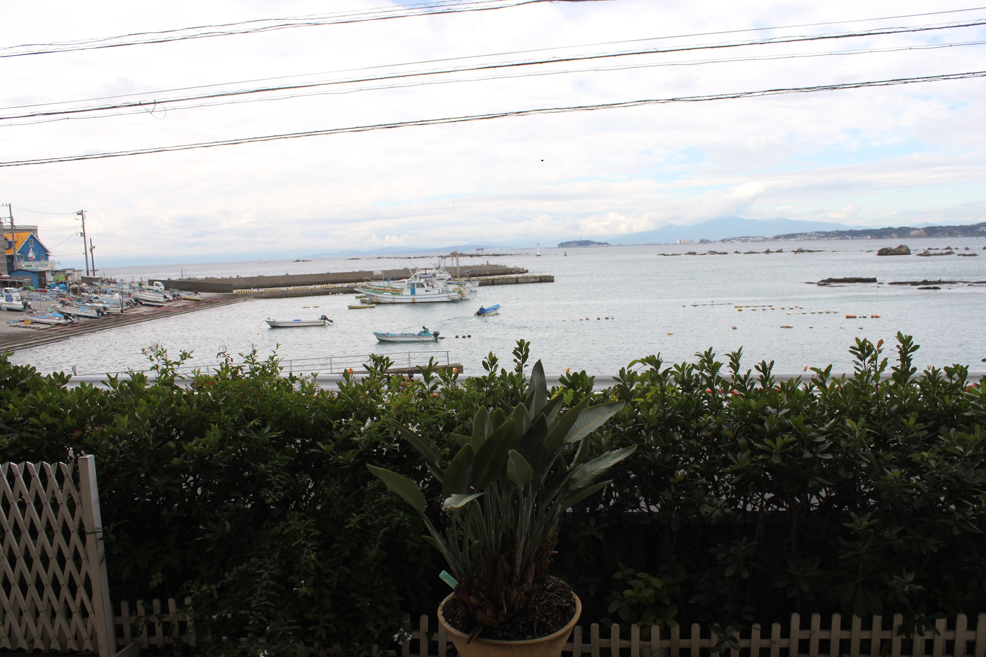 祝☆開通！！アーチトンネルをくぐると・・・絶景が待ってました！！