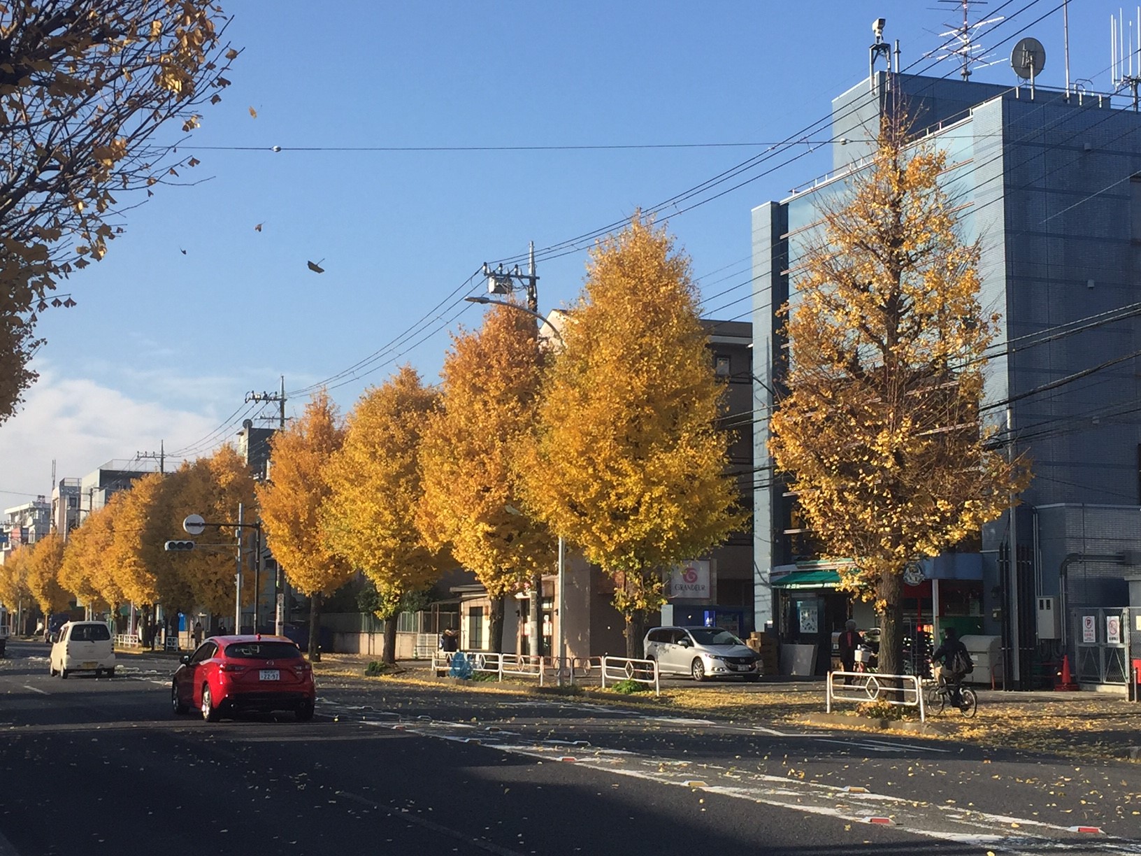 ある晴れた冬の朝に・・・